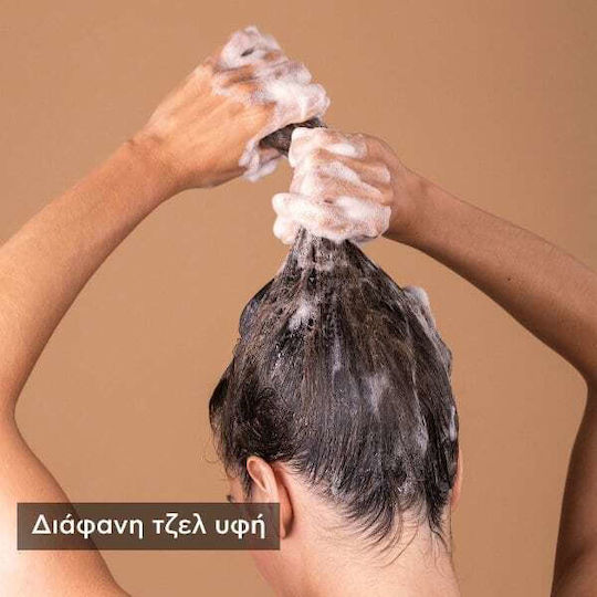 Apivita Dry Dandruff Celery & Propolis Shampoos Against Dandruff & Dry Scalp 500ml