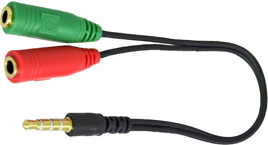 Ancus HiConnect Конвертор 3.5mm мъжки към 3.5mm 2x женски Черен 1бр
