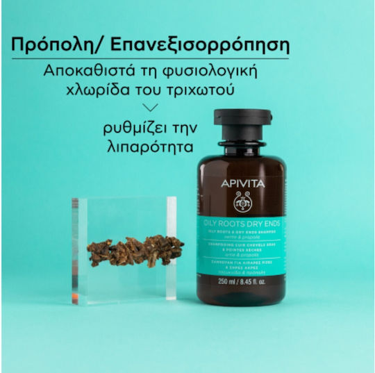 Apivita Oily Roots & Dry Ends Коприва и Прополис Шампоан Против Пърхот за Мазна Коса 250ml