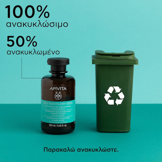 Apivita Rădăcini Grase și Vârfuri Uscate Nettle & Propolis Sampon de Reconstrucție/Hrană & Hidratare pentru Păr Gras 250ml