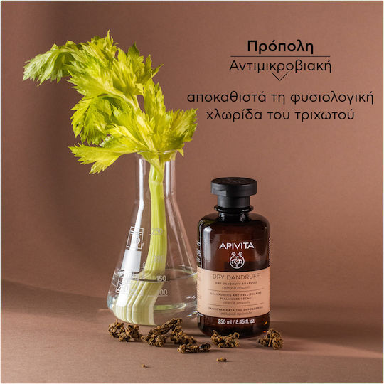 Apivita Dry Dandruff Celery & Propolis Shampoo Against Dandruff & Dry Scalp for Dry Hair 250ml