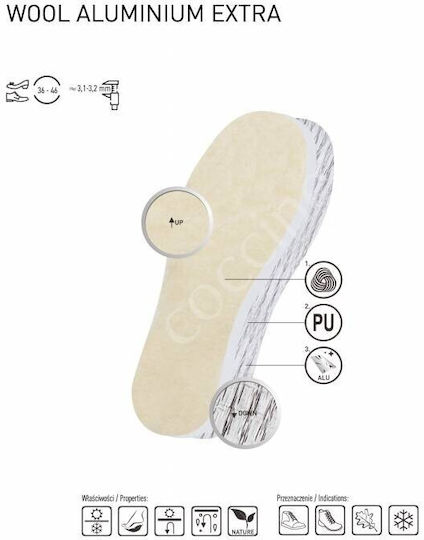 Coccine Tălpi Anatomice Pentru Pantofi 1032016/39 2 Bucăți