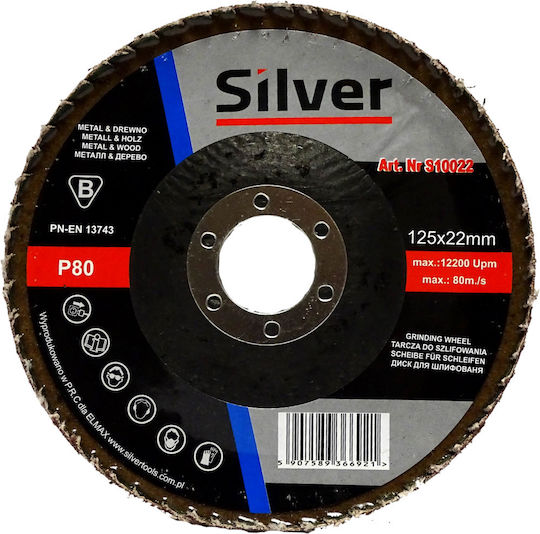 Silver Star Schleifscheibe P 80