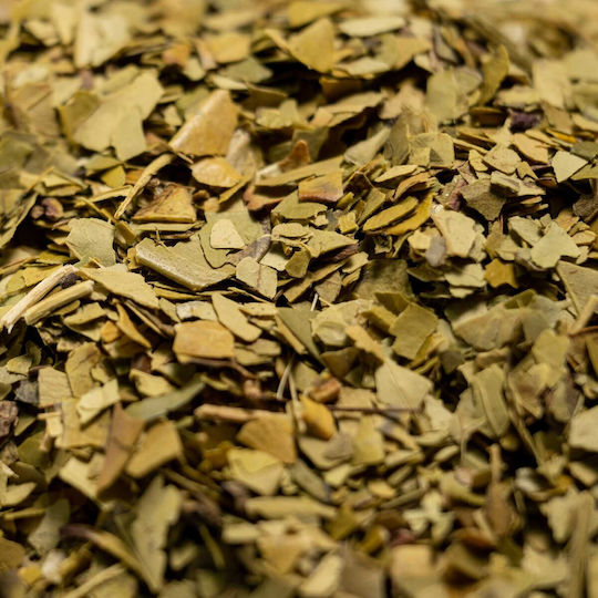 Yerba Mate Tips & Buds 50γρ