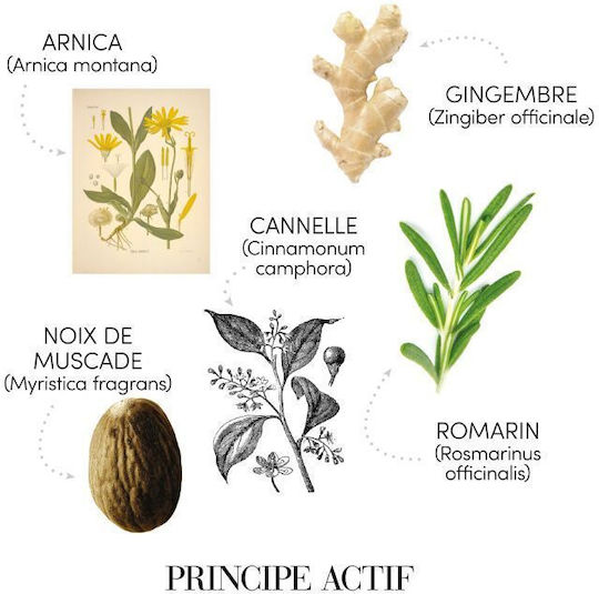 Medavita Lotion Concentree Σαμπουάν κατά της Τριχόπτωσης για Όλους τους Τύπους Μαλλιών 250ml