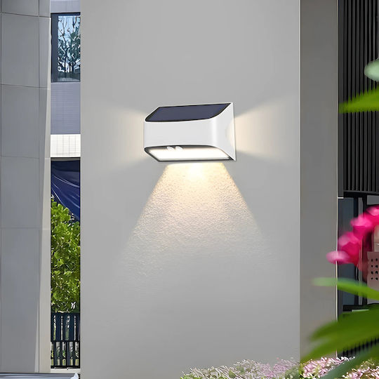 Braytron Стенно Външно Осветително Тяло LED 6W 6500K