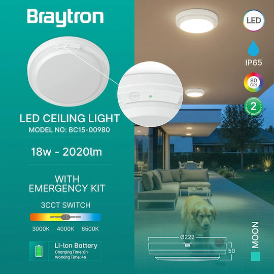 Braytron Стенни Външни Таванна Лампа LED IP65 18W с Регулируемо Бяло Светлина
