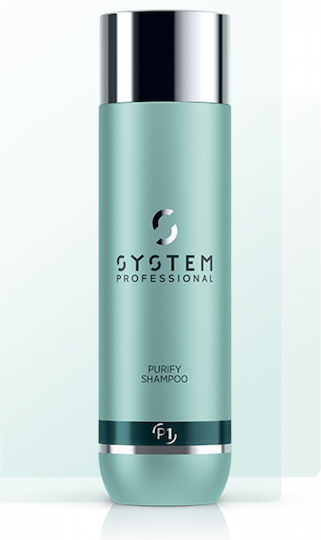 System Professional Derma Purify P1 Σαμπουάν κατά της Πιτυρίδας για Όλους τους Τύπους Μαλλιών 250ml