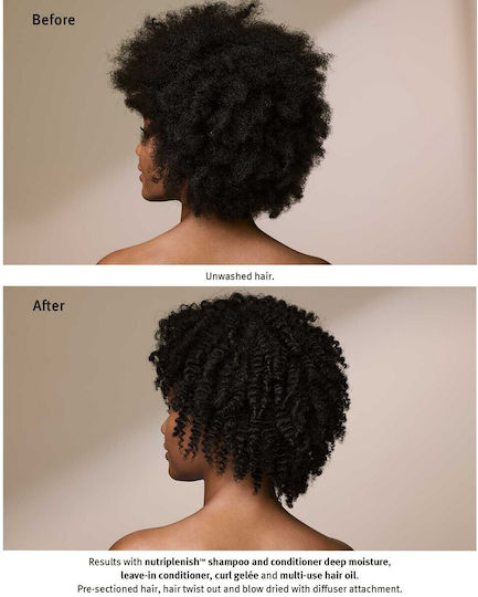Aveda Nutri Plenish Deep Moisture Шампоан Хидратация за Сухи Коси 250мл
