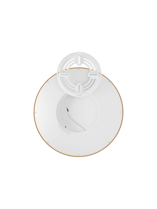 Braytron Jade Ceiling Mount Light 30cm