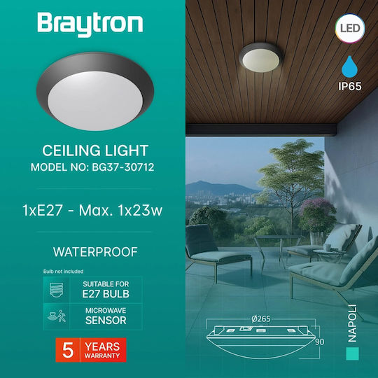 Braytron Стенни Външни Таванна Лампа E27 IP65 9x9см