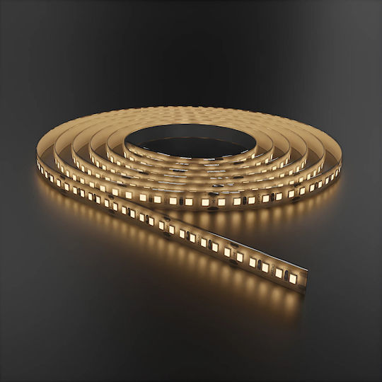 Braytron LED Strip 24V Warm White Light Type SMD2835