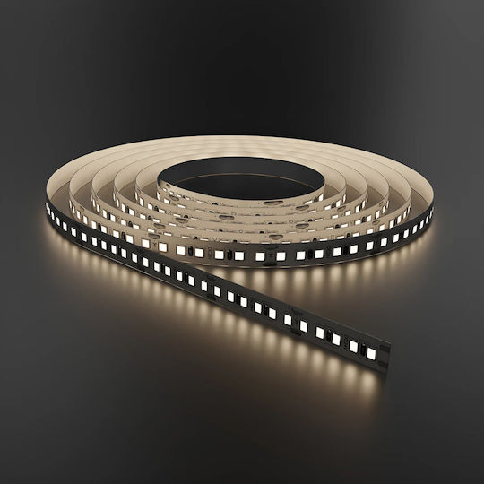 Braytron LED-Streifen 24V Natürliches Weiß Licht 5m Typ SMD5050