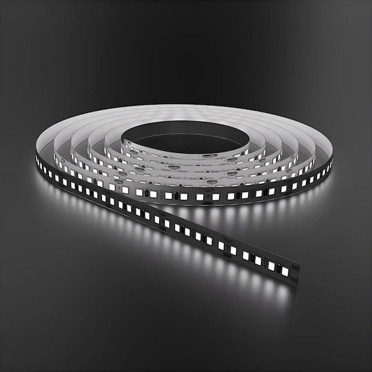 Braytron LED-Streifen 24V Kaltweiß Licht 5m Typ SMD5050