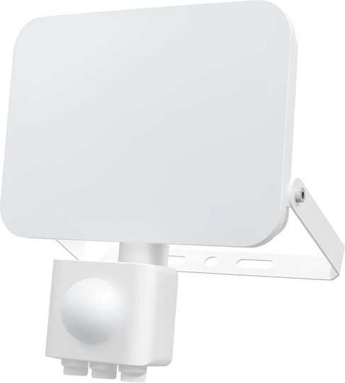Braytron Στεγανός Προβολέας LED 30W Ρυθμιζόμενο Λευκό IP65