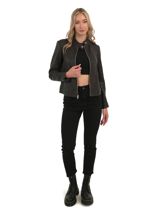 Chic & Clicks