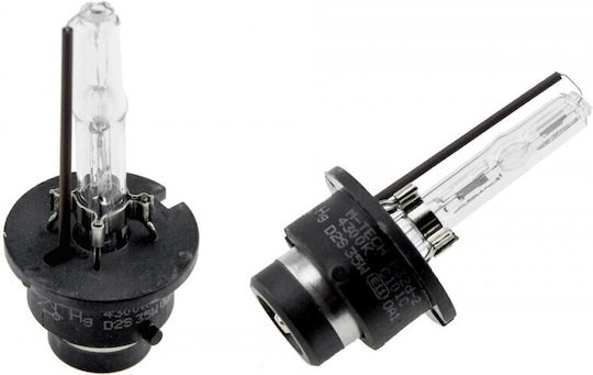 NTY Car And Motorcycle Lamp D2S Natural White 85V