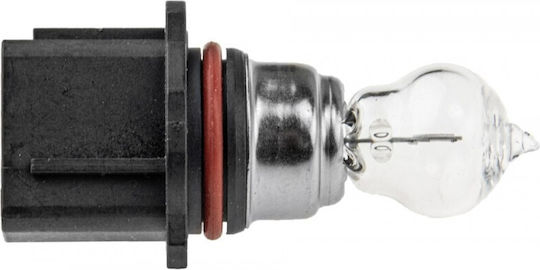 NTY Lămpi Auto P13W 12V 13W 10 Bucăți