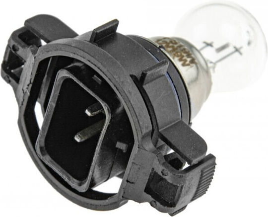 NTY Car Lamps PS19W 12V 19W 10 Pieces