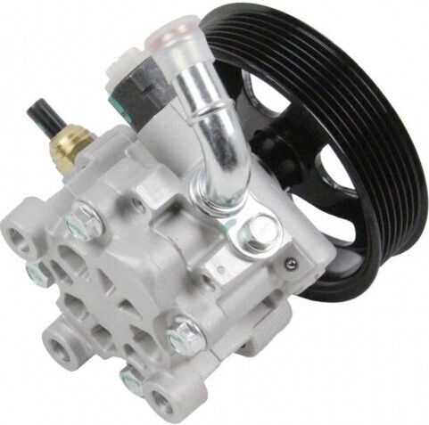 Loro Toyota Land Cruiser Unterstützungspumpen Riemenscheibe 4431006071