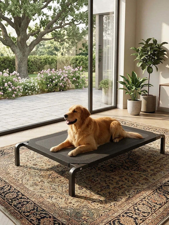 Lelo Pet AirLounge Erhöhtes Hundebett Orthopädisch Kühlung XL 123x73cm