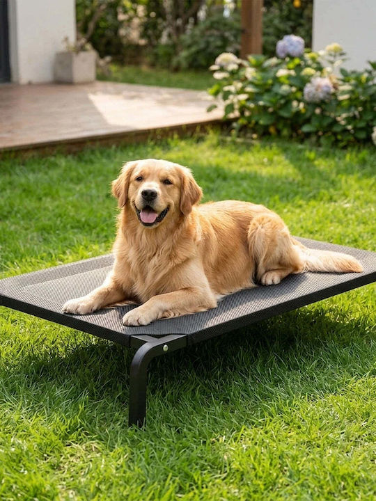 Lelo Pet AirLounge Erhöhtes Hundebett Orthopädisch Kühlung XL 123x73cm