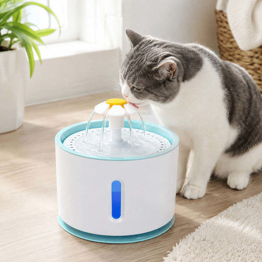 Water Fountain for Dog & Cat