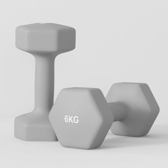 Sportnow Βαράκι Εξάγωνο 1 x 6kg