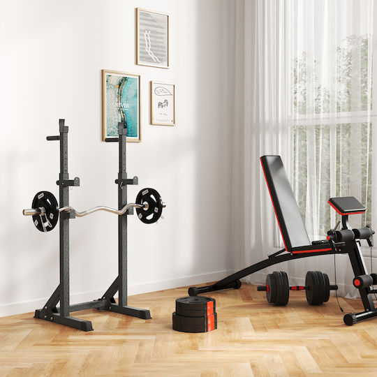 Sportnow Δίσκος 1 x 5kg Φ27mm με Λαβές