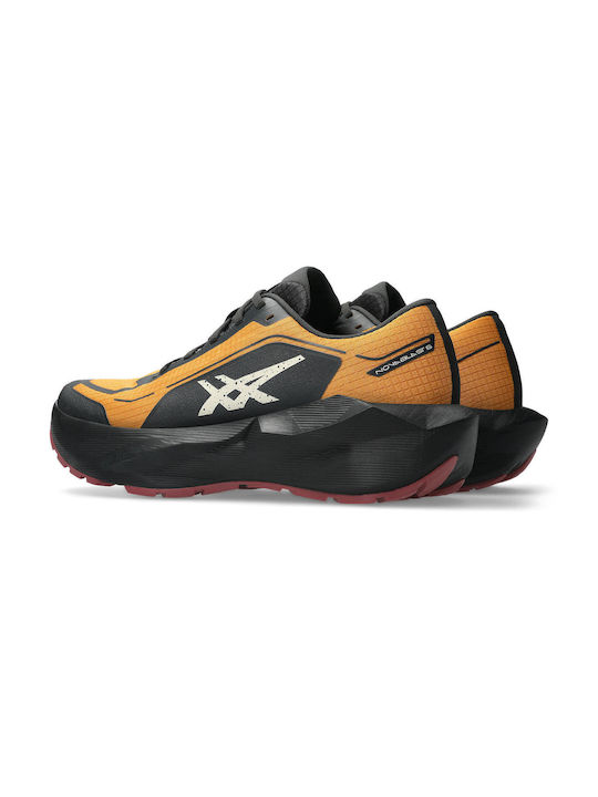 Novablast 6 Gtx Herren Sportschuhe Trail Running Wasserdicht mit Gore-Tex Membrane Braun