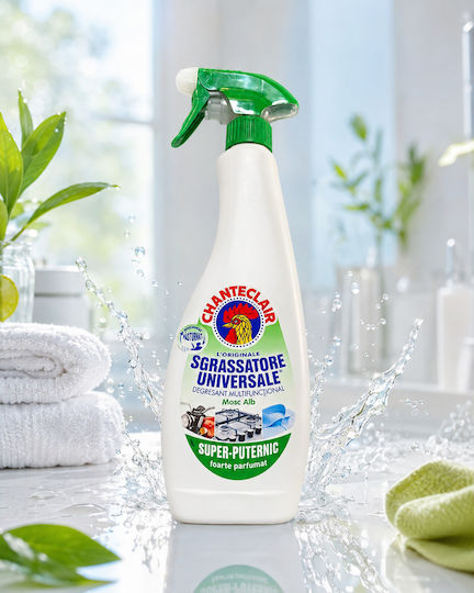 Chante Clair Professioneller Allzweckreiniger Spray Allgemeine Verwendung 600ml