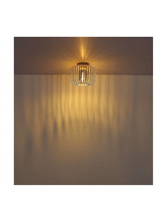 Globo Lighting Πλαφονιέρα Οροφής Μπεζ