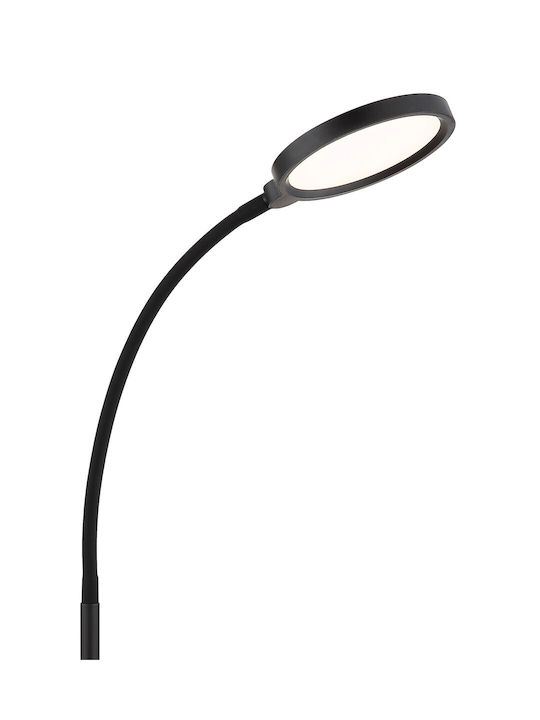 Globo Lighting Подова лампа Черна
