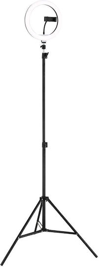 Globo Lighting Φωτιστικό Δαπέδου Μαύρο