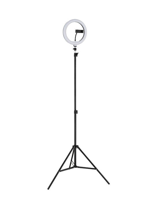 Globo Lighting Подова лампа Черна
