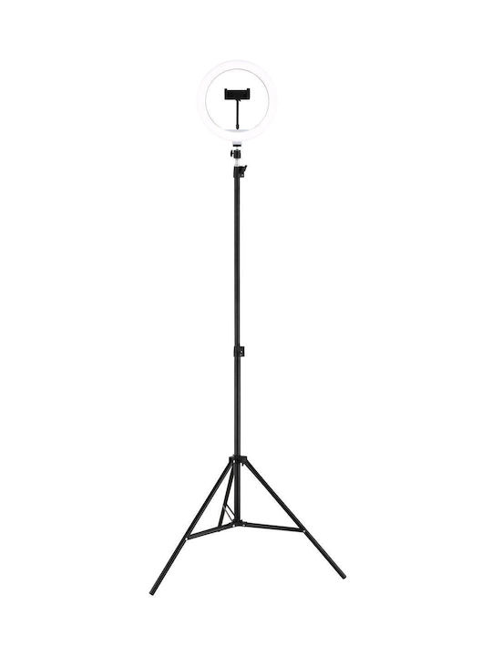 Globo Lighting Подова лампа Черна