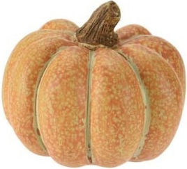 Kürbis 20cm