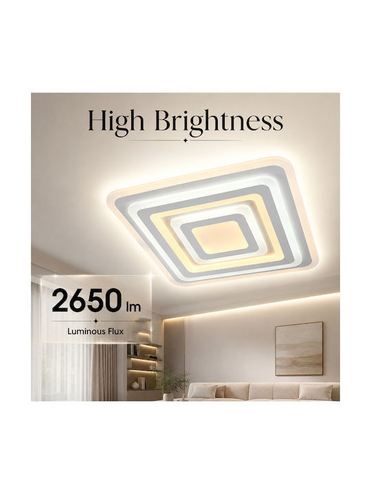 Lightplanet Ceiling Mount Light with Integrated LED