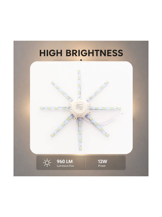 Lightplanet Φωτιστικό Τοίχου LED Lightplanet Φωτιστικό Τοίχου LED