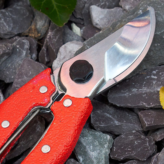Професионални лозарски ножици за подрязване Nishigaki 180 Mm 20 Mm Рязане Стоманена Пружина Въглеродна Стомана Nks85 Огледално Покритие На Острието