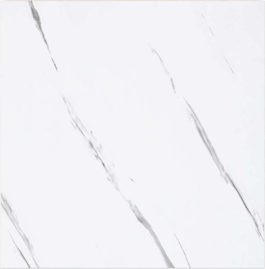 Ράφια Λευκά (2τμχ) 23x23.5x4εκ.