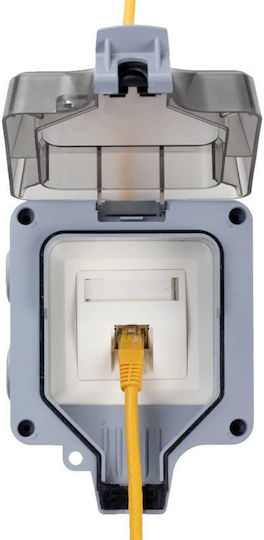 Equip Aufputzdose 1-Port Keystone Ohne Abschirmung Außen Grau