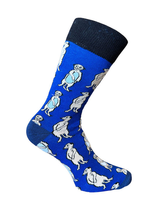 Kal-tsa Men's Multicolour Socks 5Pack Kal-tsa Men's Multicolour Socks 5Pack