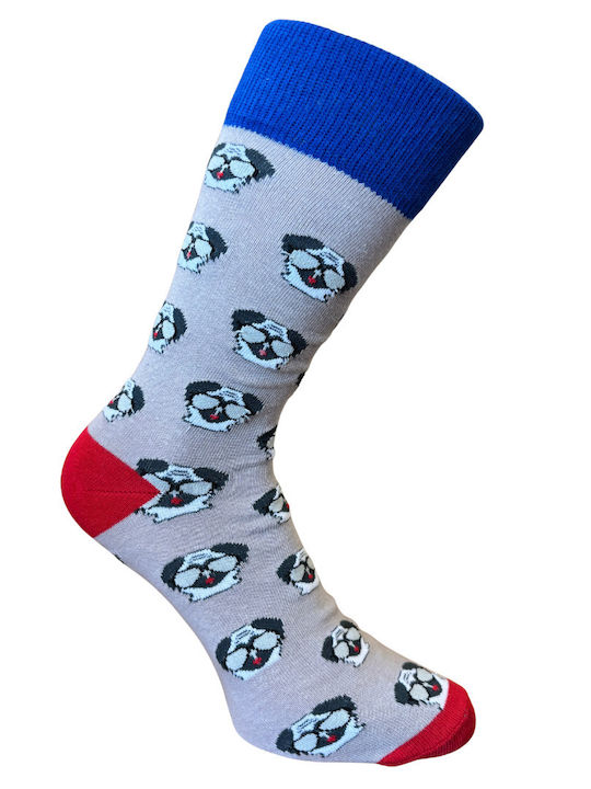 Kal-tsa Men's Multicolour Socks 5Pack