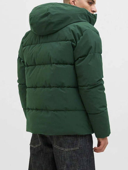 Winter Jacke Puffer Scarab