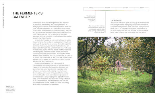 A Year Of Fermentation: A Seasonal Guide To The Art Science Of Fermentation