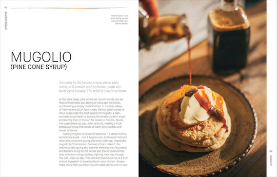 A Year Of Fermentation: A Seasonal Guide To The Art Science Of Fermentation