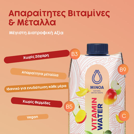 Minoa Water Vitamina Apă 12x0.75lt