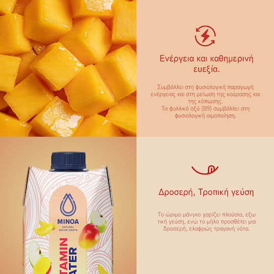 Minoa Water Vitamina Apă 12x0.75lt