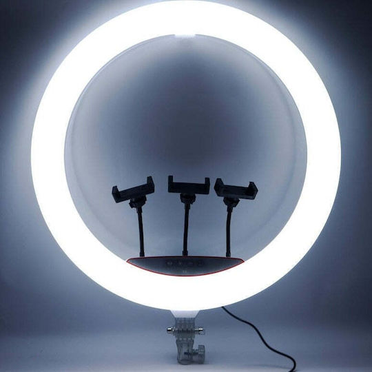 RGB Ring Light 56cm and Mobile Phone Holder
